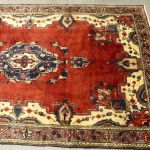 869 2141 ORIENTAL RUG